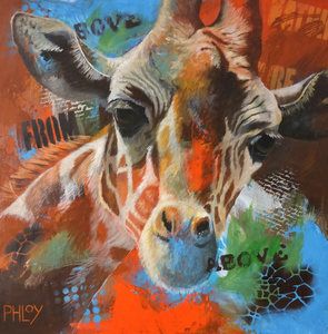 Alle wildlife m.u.v. roofdieren en olifanten.
