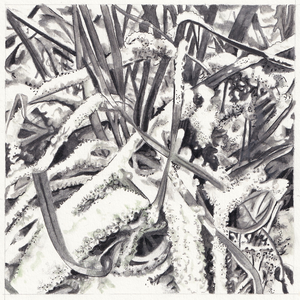 Een vervolg van de Grasserie.