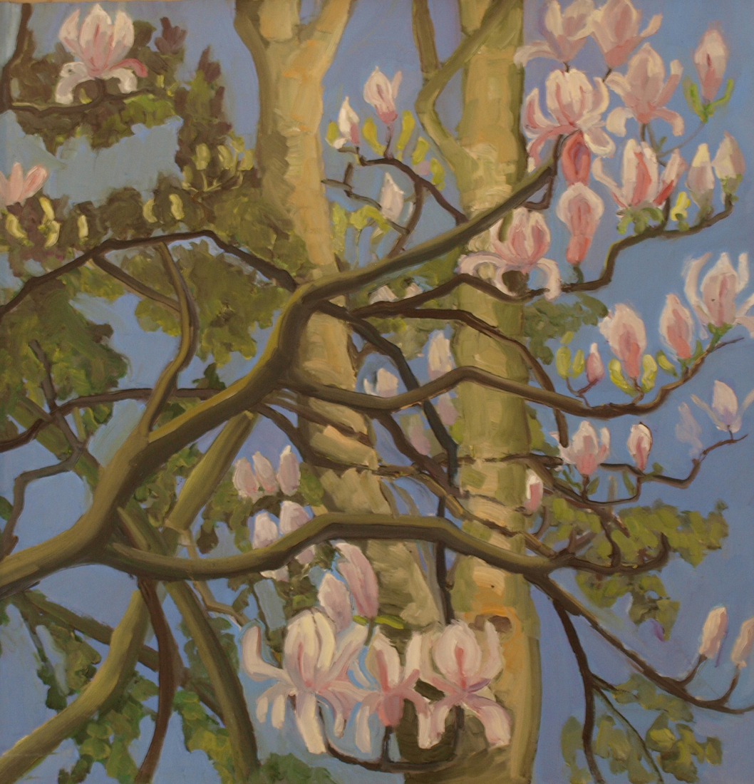 Magnolia