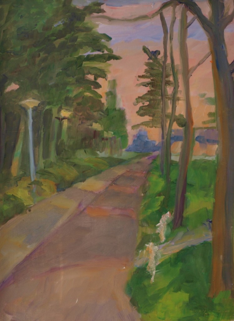 Baden Powellweg