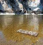 Echo van de Stilte, Echos of Silence, Echos du Silence, Ecos del Silencio. Een landart / installatie project met Hetty de Boer - Blonk en Reinharda Drijfhamer. Juli 2014 Dordogne Frankrijk. Daarna volgen 5 schilderwerken die hierop geïnspireerd zijn.