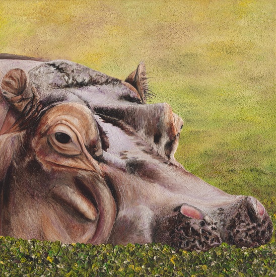 Russell_Hinckley_Nijlpaard