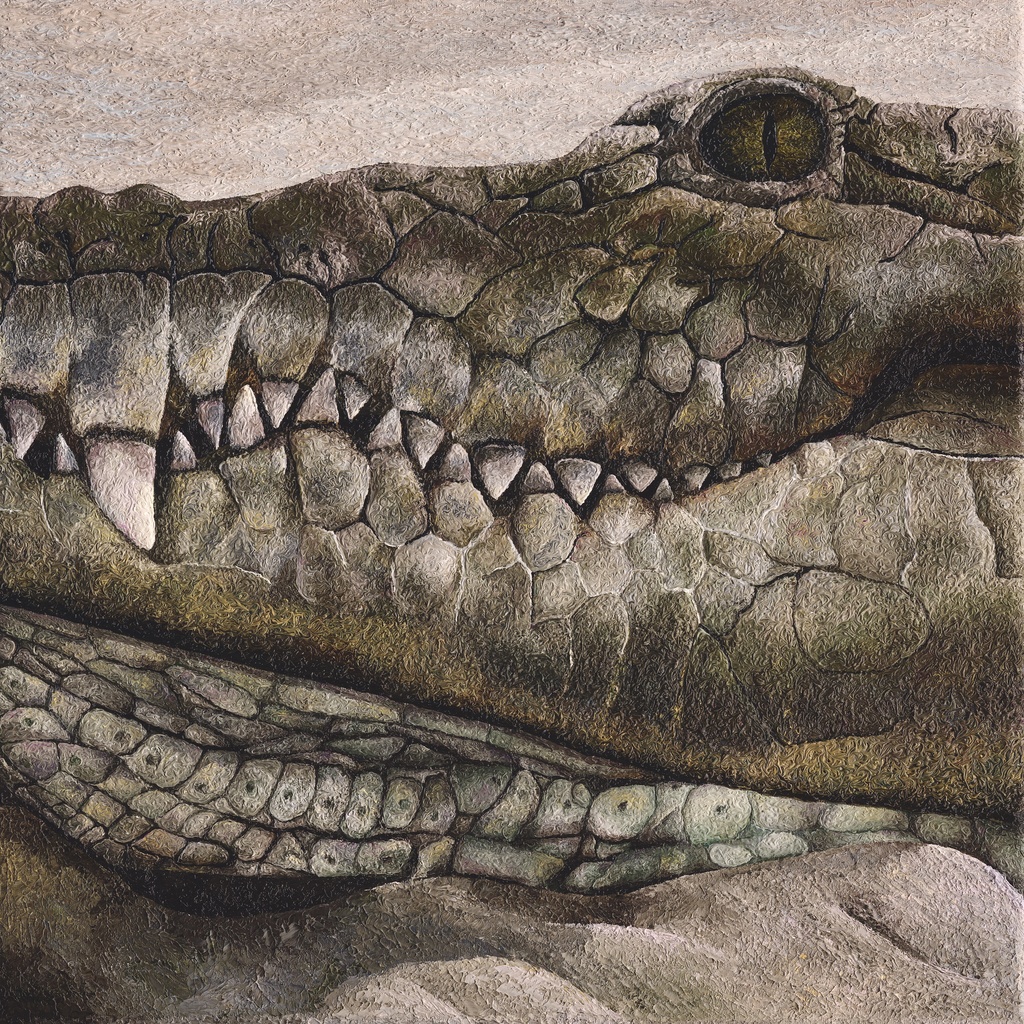 Crocodile