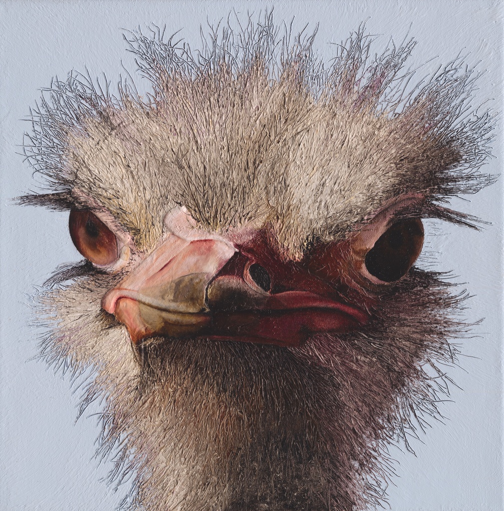 Russell_Hinckley_Ostrich
