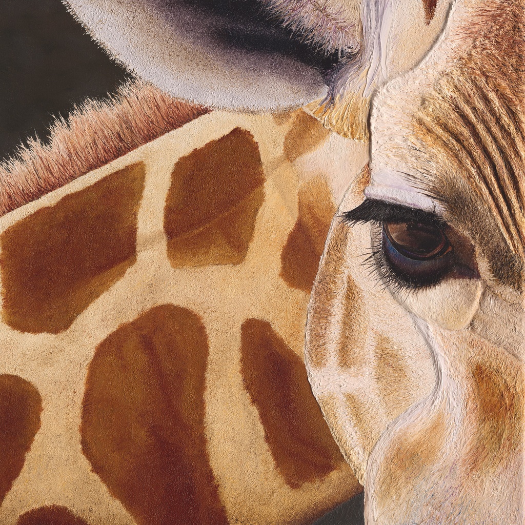 Russell_Hinckley_Giraffe