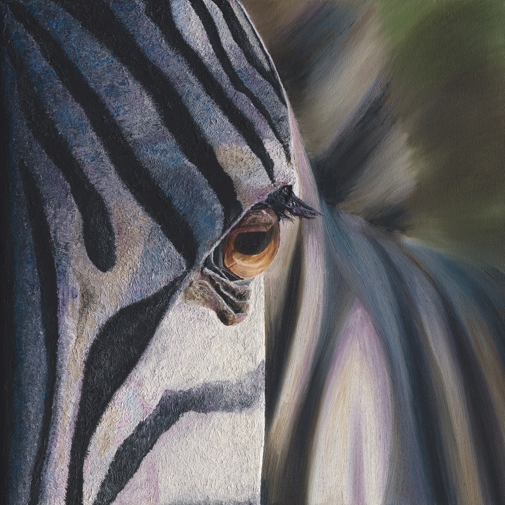 Russell_Hinckley_Zebra