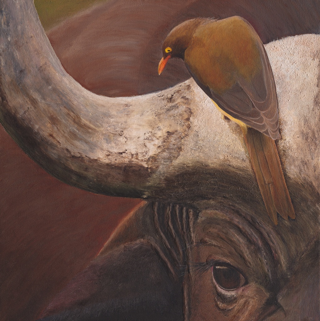 Russell_Hinckley_Water_Buffel