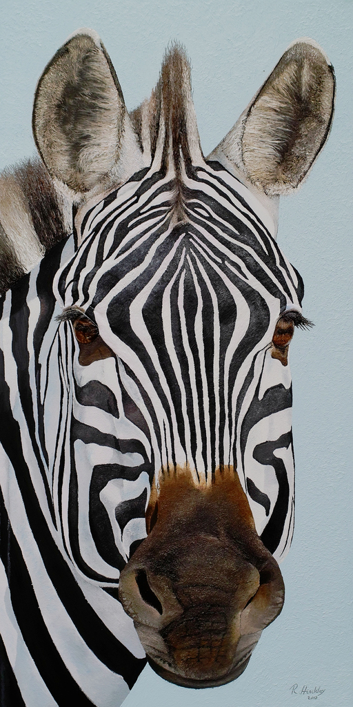 Russell_Hinckley_Zebra_II