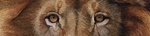 Detail van schilderij die mooi past als kaart.