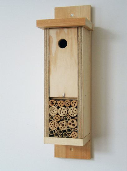 combi mezen - insectenkast