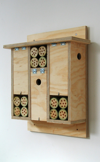 Combi mussenkast - Insectenkast