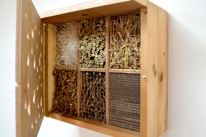 Insectenkast met gaten in voorkant