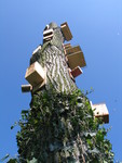 Objecten voor nestruimte, voedsel, water en nestmateriaal voor vogels, insecten, vleermuizen en vlinders. De objecten worden vaak in combinatie met elkaar toegepast.