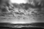 Pictures taken using the lensbaby lens