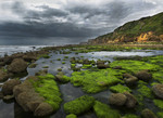 Landscapes