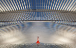 Photo's from my visit to the famous Caltrava designed train station in Liege