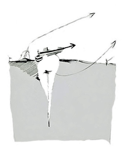 Ideeën Schetsen/Skizzen