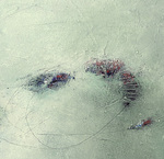 Abstract Acryl