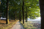 Greet van Viegen Natuur fotografie