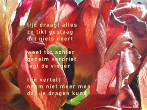 De werken in deze groep zijn digitaal gemaakt en worden afgedrukt op een materiaal dat het beste bij dat werk past: canvas, papier of plexiglas. De oplage is beperkt: 5 tot 10 stuks.