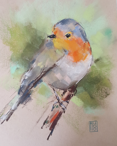 Koeien, geiten, vogels...