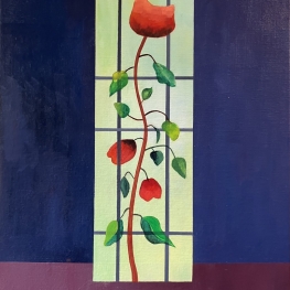 Window Rose Window Rose