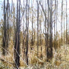 Herfstbos Herfstbos