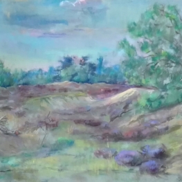 Bloeiende heide Bloeiende heide