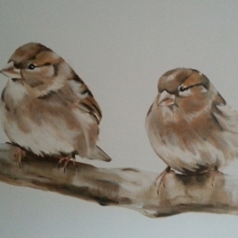 vogels vogels