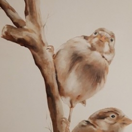vogels vogels
