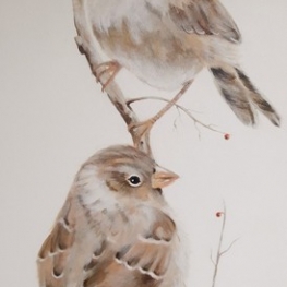vogels vogels