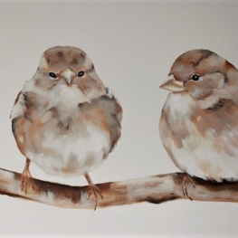 vogels vogels