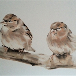 vogels vogels