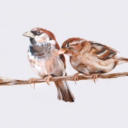 dieren dieren