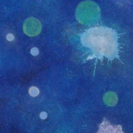 cosmos cosmos