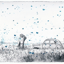 De dans van de blauwe vlinders De dans van de blauwe vlinders