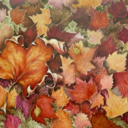 autumn leaves 3 autumn leaves 3