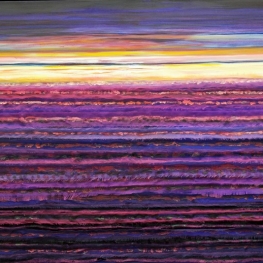 The purple field The purple field