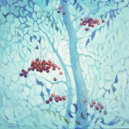 Rowan Berries Rowan Berries