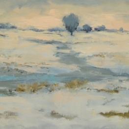 Sneeuwpolder Sneeuwpolder