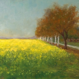 Koolzaadveld bij Kiel-Windeweer Koolzaadveld bij Kiel-Windeweer