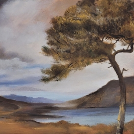 Landschap Landschap