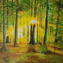 Zonnestralen Zonnestralen