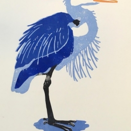 Blauwe reiger, zijwind Blauwe reiger, zijwind