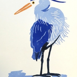 Blauwe reiger, gedraaid hoofd Blauwe reiger, gedraaid hoofd