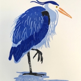 Blauwe reiger, poot omhoog Blauwe reiger, poot omhoog