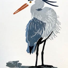 Blauwe reiger, gedraaid hoofd Blauwe reiger, gedraaid hoofd