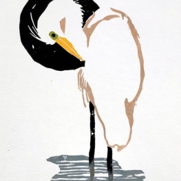 Zilverreiger, kop op Zilverreiger, kop op