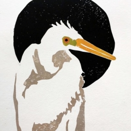 Zilverreiger, draaikop Zilverreiger, draaikop