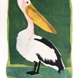 Pelikaan Pelikaan
